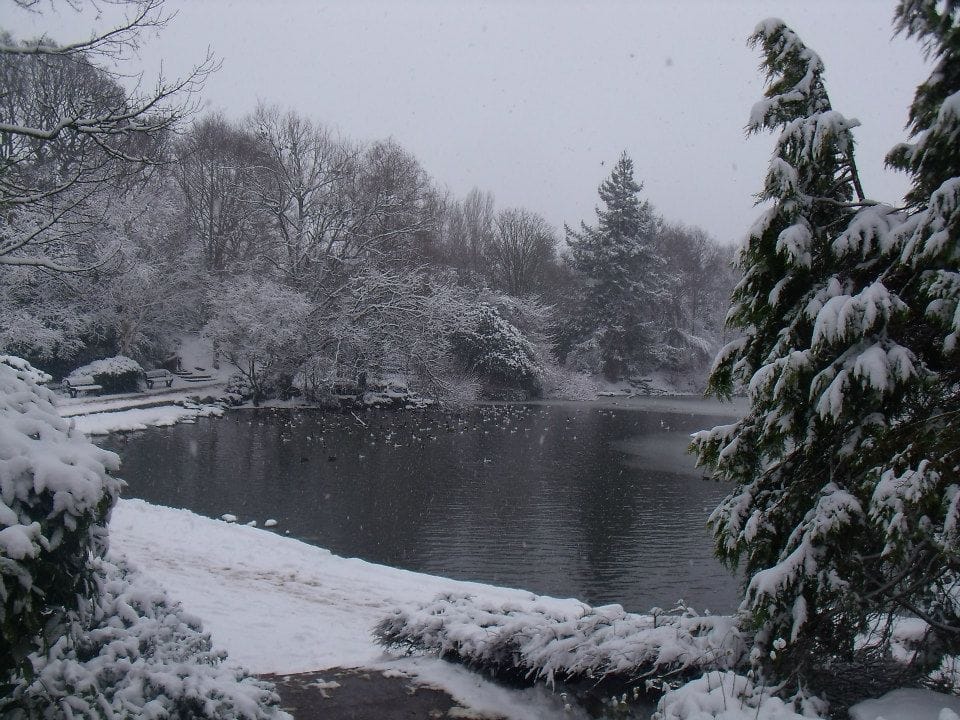 Queens Park - image 2