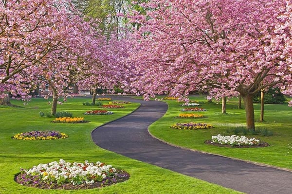 Town Gardens
