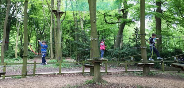 Jungle Parc