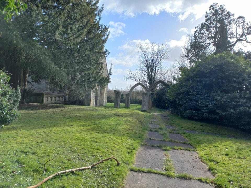 Lawn Woods - image 1