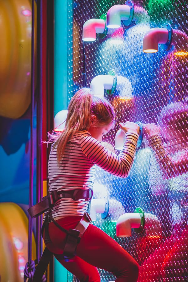 Freedog Swindon: Clip 'N Climb