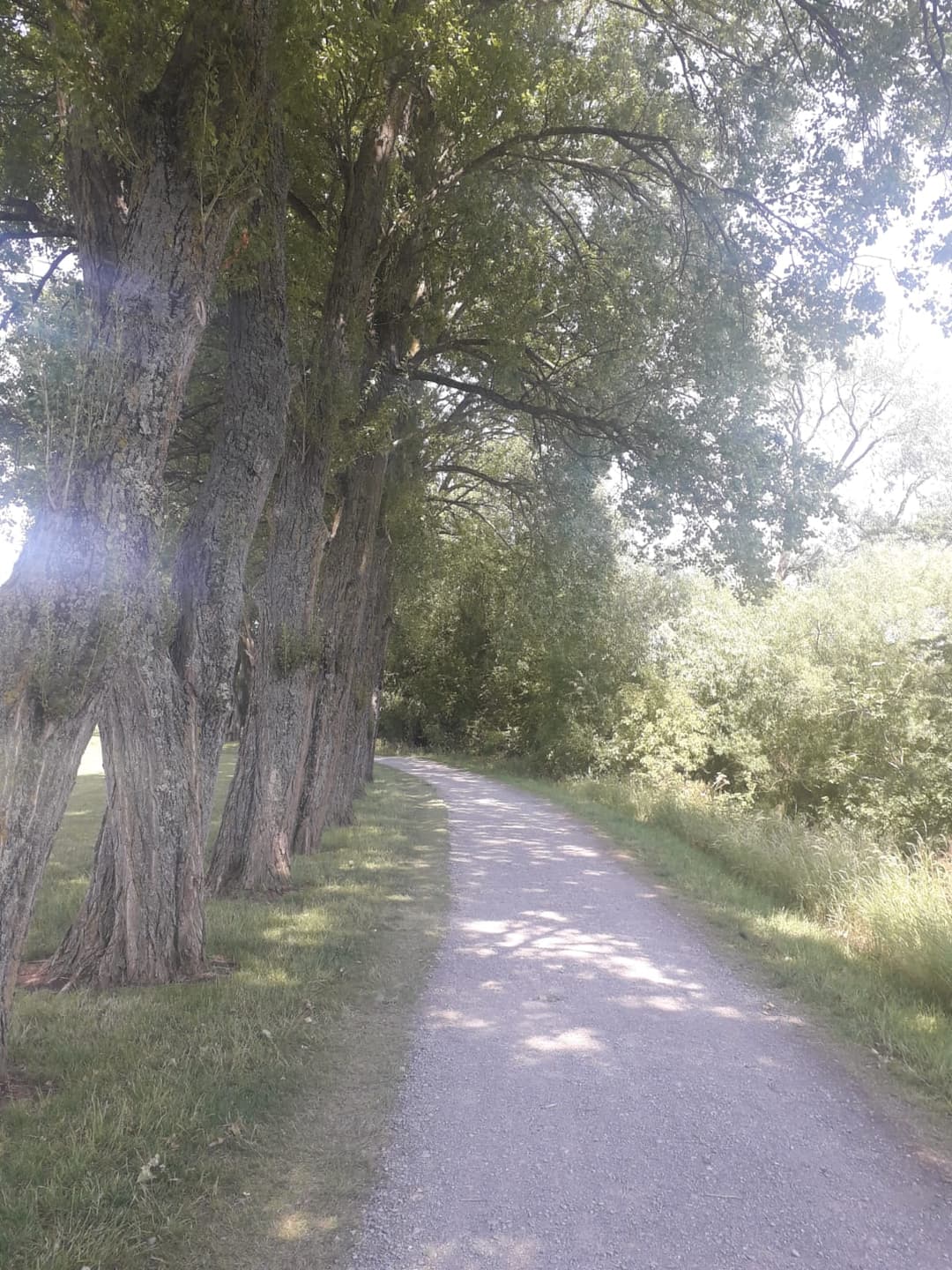 Mannington Rec, Swindon - image 1