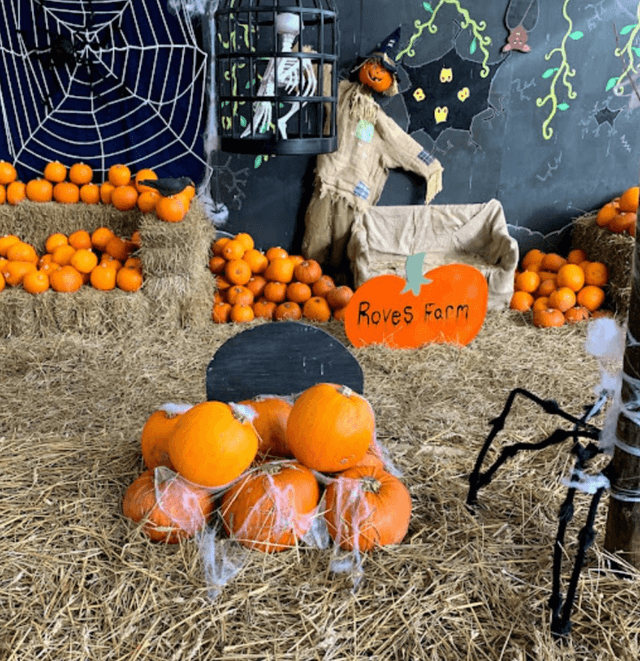 Halloween at Roves Farm